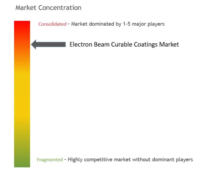Electron Beam Curable Coating Market Concentration
